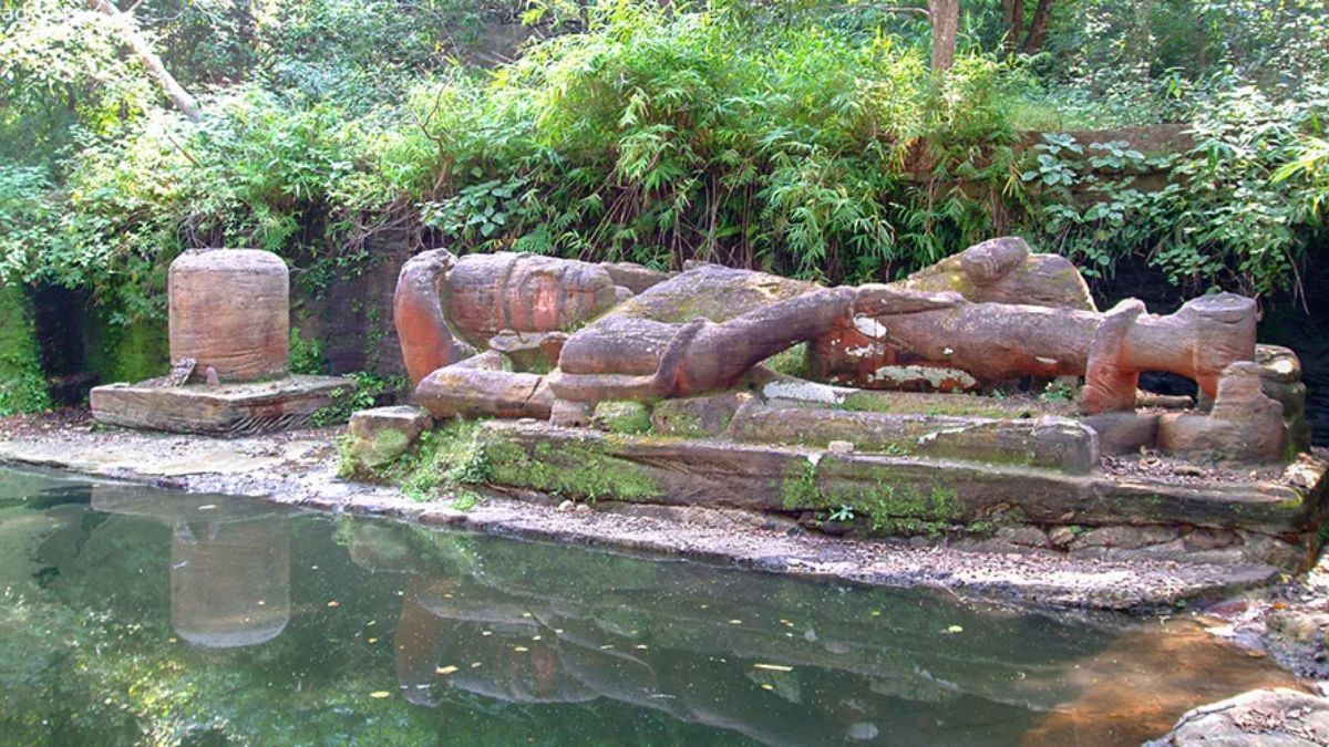 naidunia_image